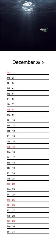 2019 (Design 16') Streifenkalender