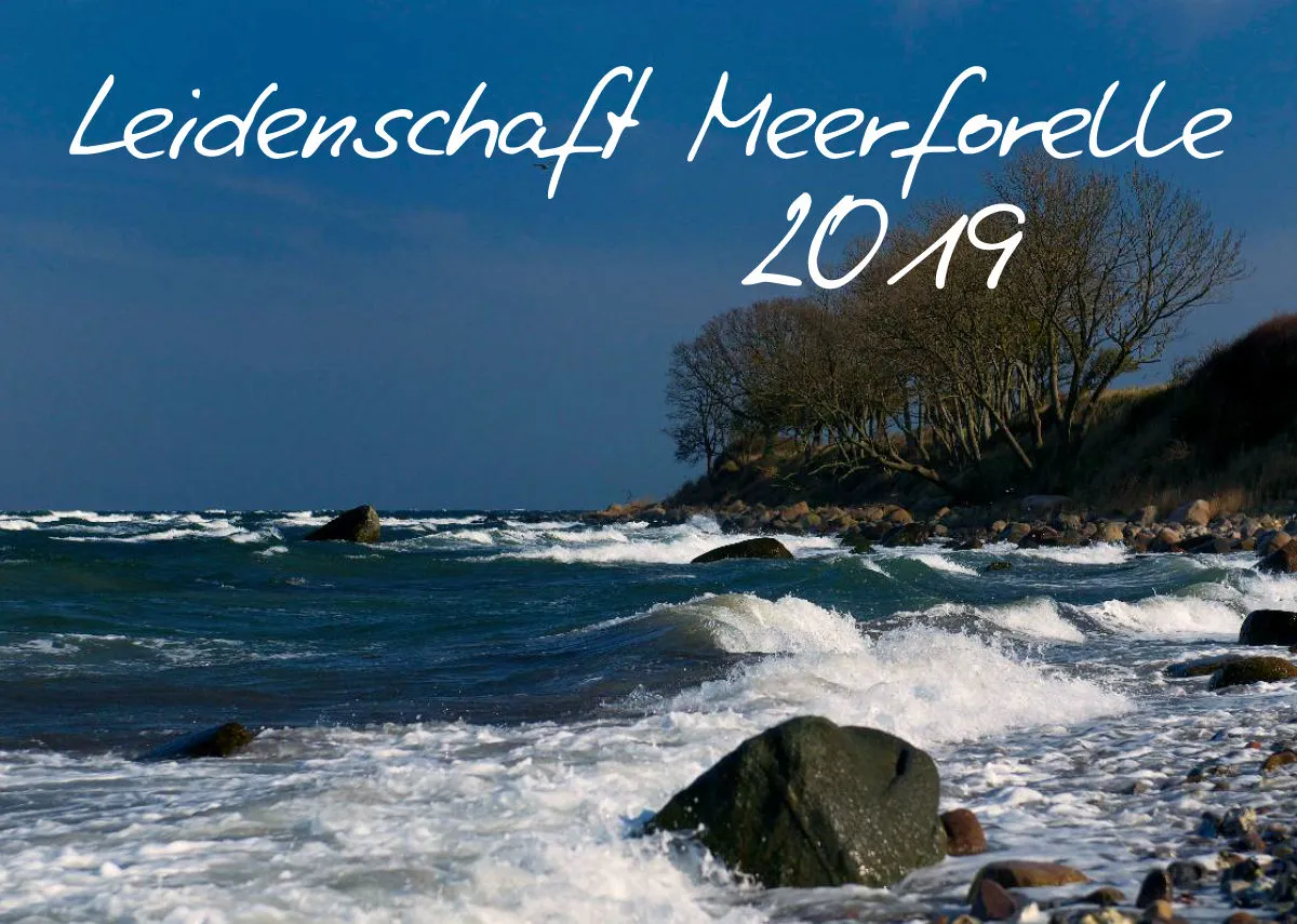 2019 (Design 15') Wandkalender mit weißem Kalendarium links
