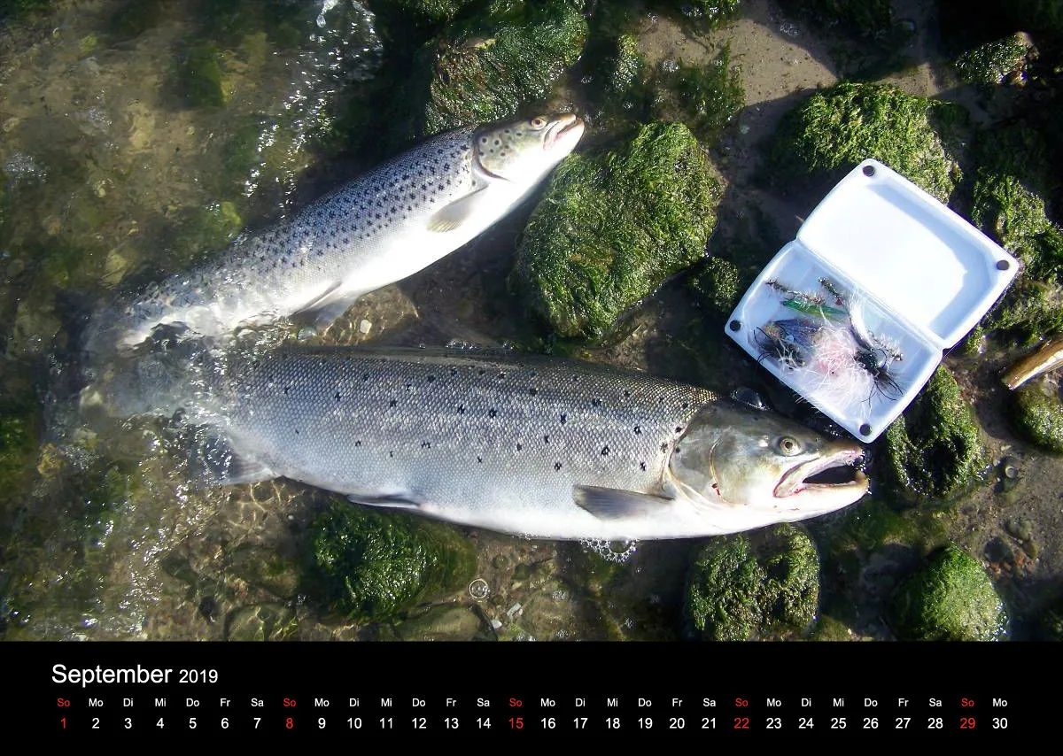 2019 (Design 15') Wandkalender mit schwarzem Kalendarium