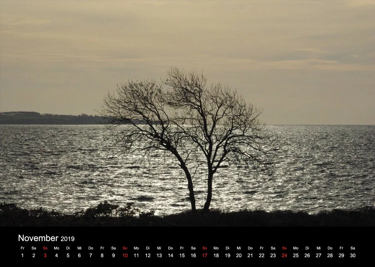 2019 (Design 15') Wandkalender mit schwarzem Kalendarium