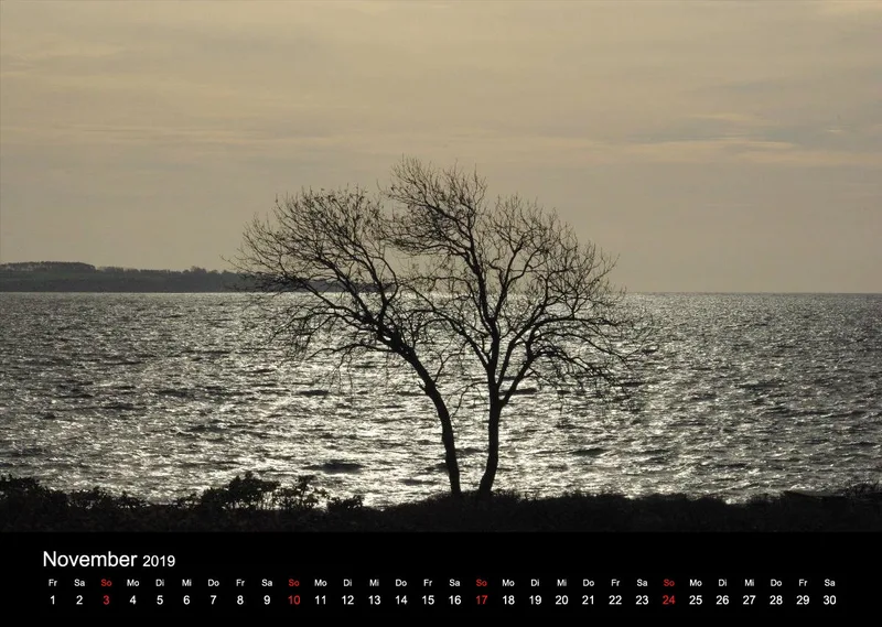 2019 (Design 15') Wandkalender mit schwarzem Kalendarium