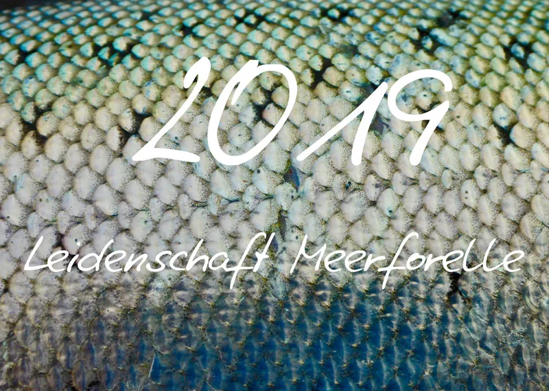 2019 (Design 18') Wandkalender mit weißem Kalendarium links