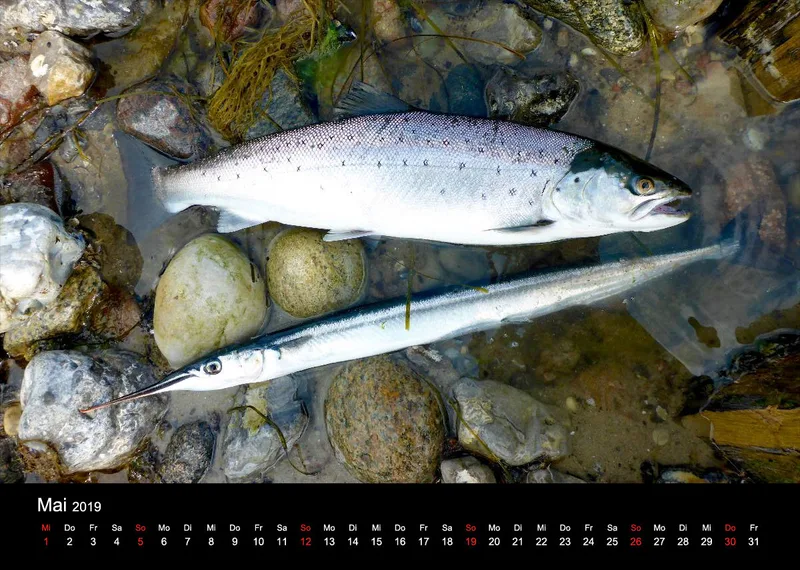 2019 (Design 16') Wandkalender mit schwarzem Kalendarium