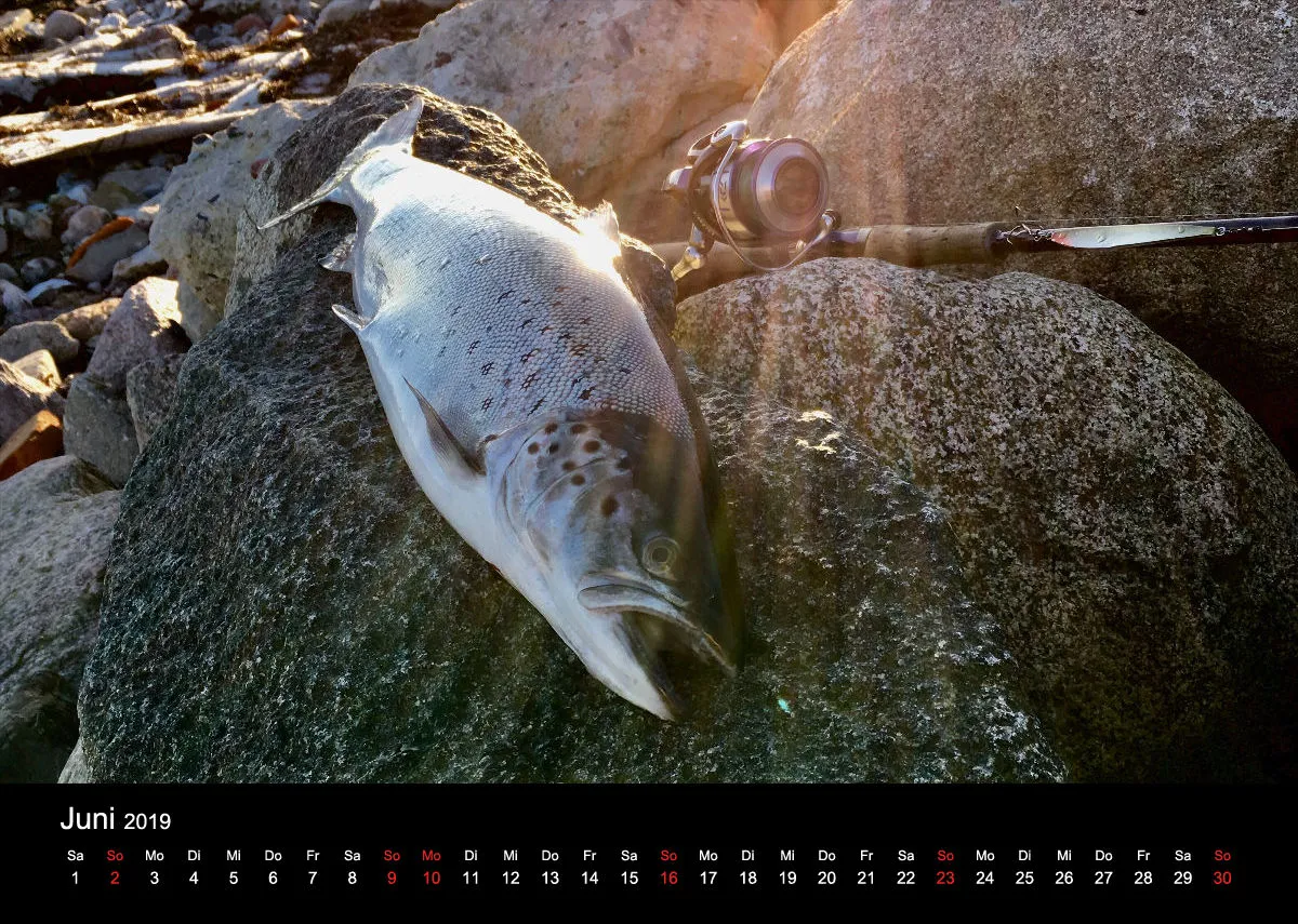 2019 (Design 18') Wandkalender mit schwarzem Kalendarium