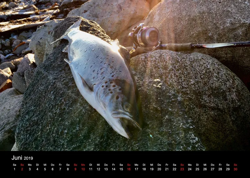 2019 (Design 18') Wandkalender mit schwarzem Kalendarium