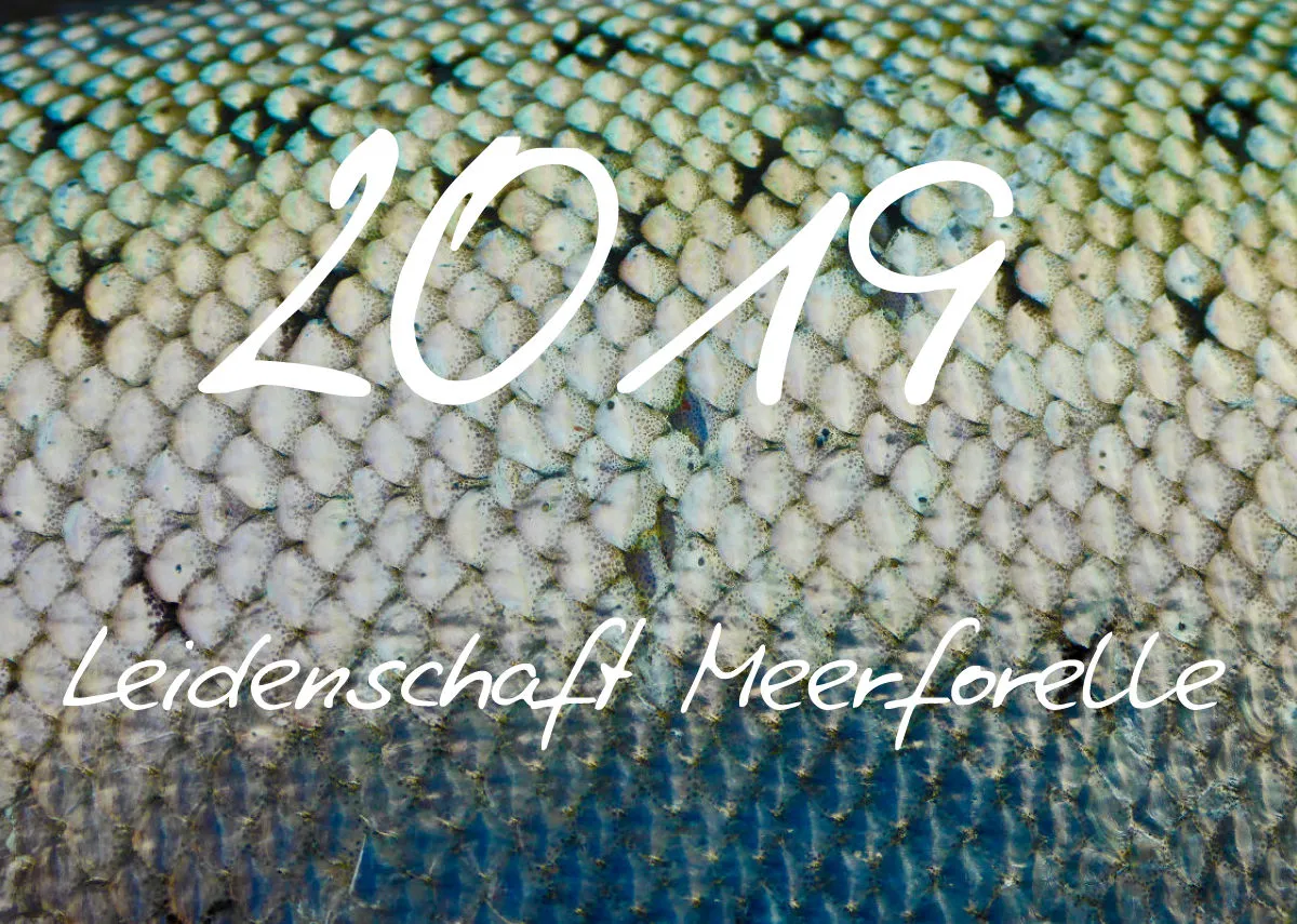2019 (Design 18') Wandkalender mit weißem Kalendarium links