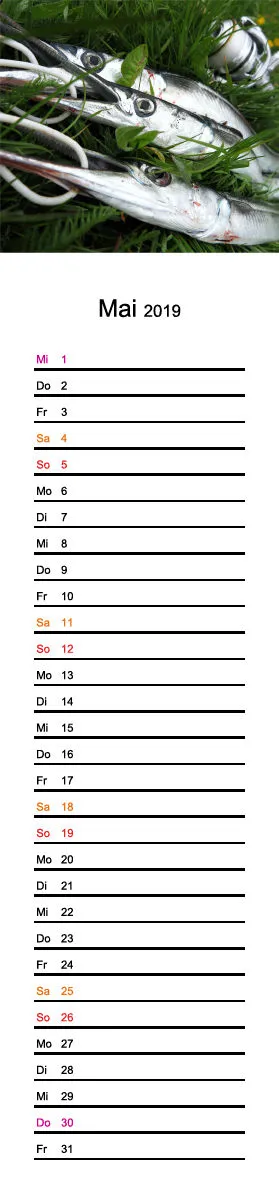 2019 (Design 17') Streifenkalender