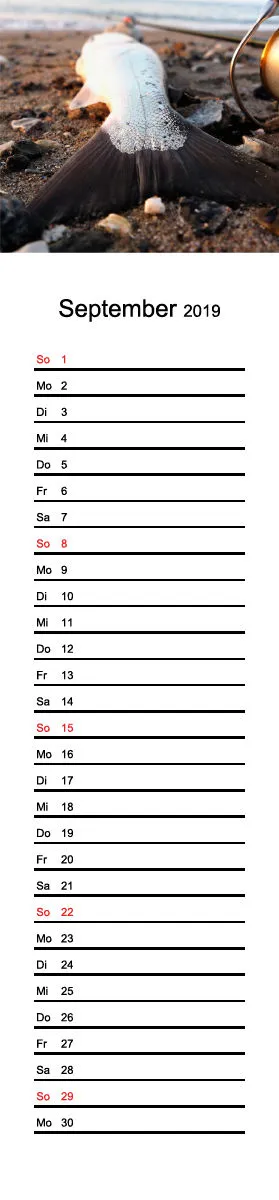2019 (Design 16') Streifenkalender