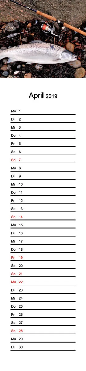 2019 (Design 15') Streifenkalender