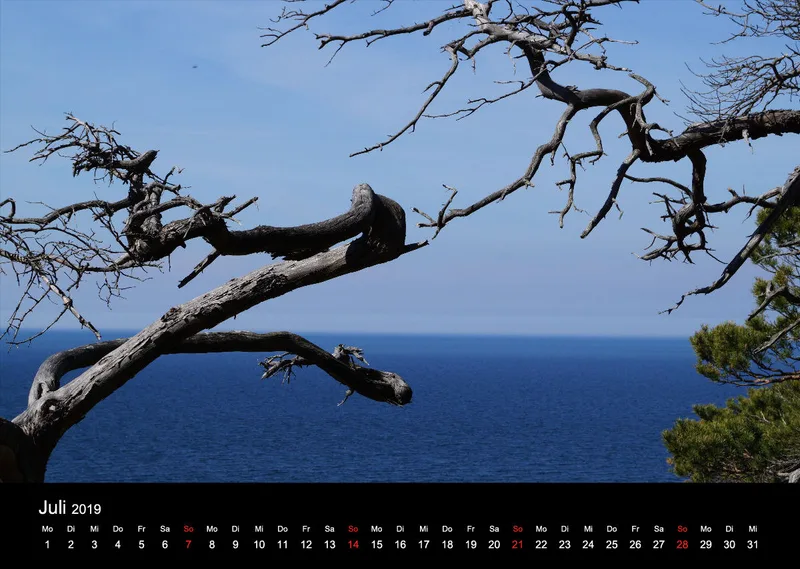 2019 (Design 17`) Wandkalender mit schwarzem Kalendarium