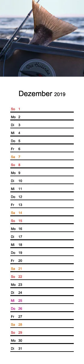 2019 (Design 17') Streifenkalender