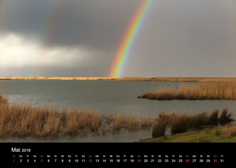 2019 (Design 18') Wandkalender mit schwarzem Kalendarium