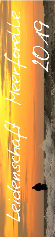 2019 (Design 16') Streifenkalender