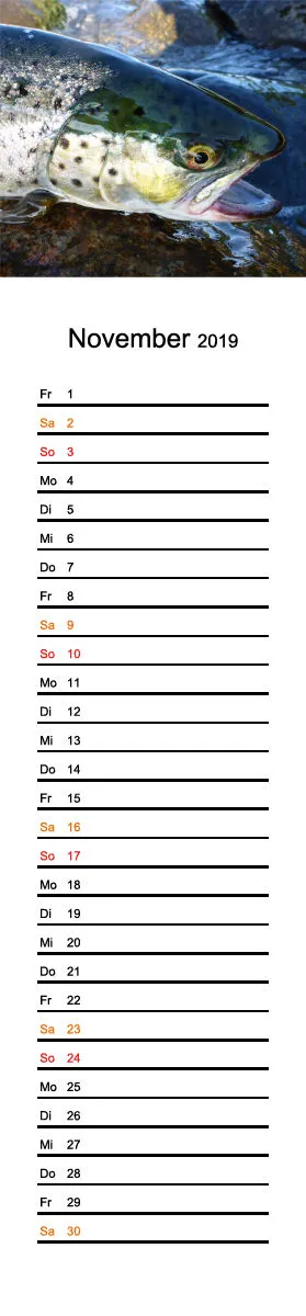 2019 (Design 17') Streifenkalender