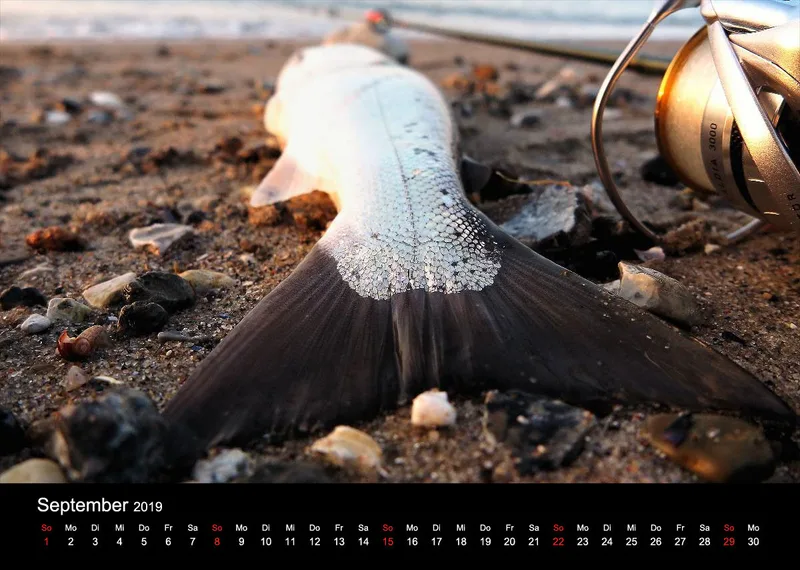 2019 (Design 16') Wandkalender mit schwarzem Kalendarium