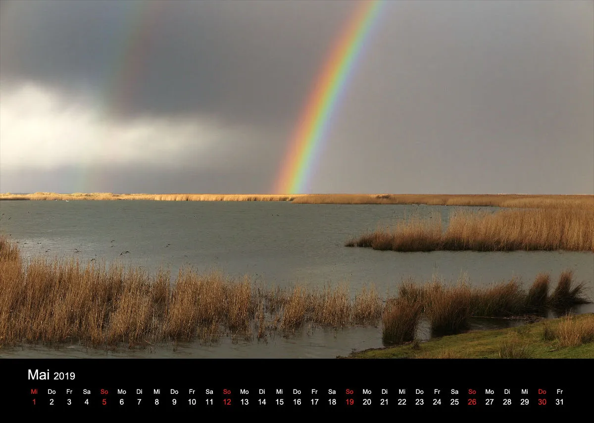 2019 (Design 18') Wandkalender mit schwarzem Kalendarium