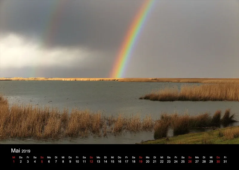 2019 (Design 18') Wandkalender mit schwarzem Kalendarium