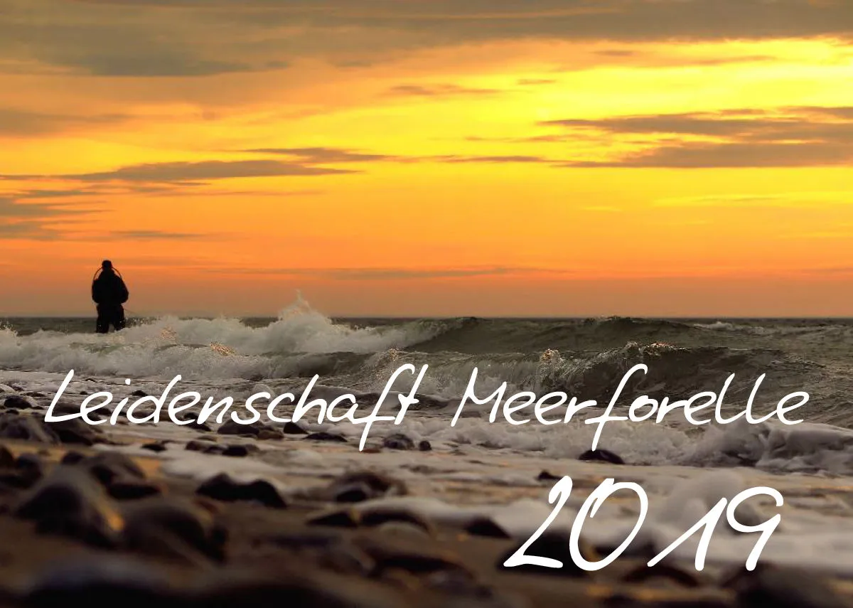 2019 (Design 16') Wandkalender mit schwarzem Kalendarium