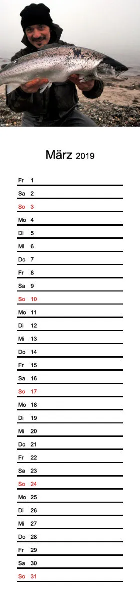 2019 (Design 15') Streifenkalender