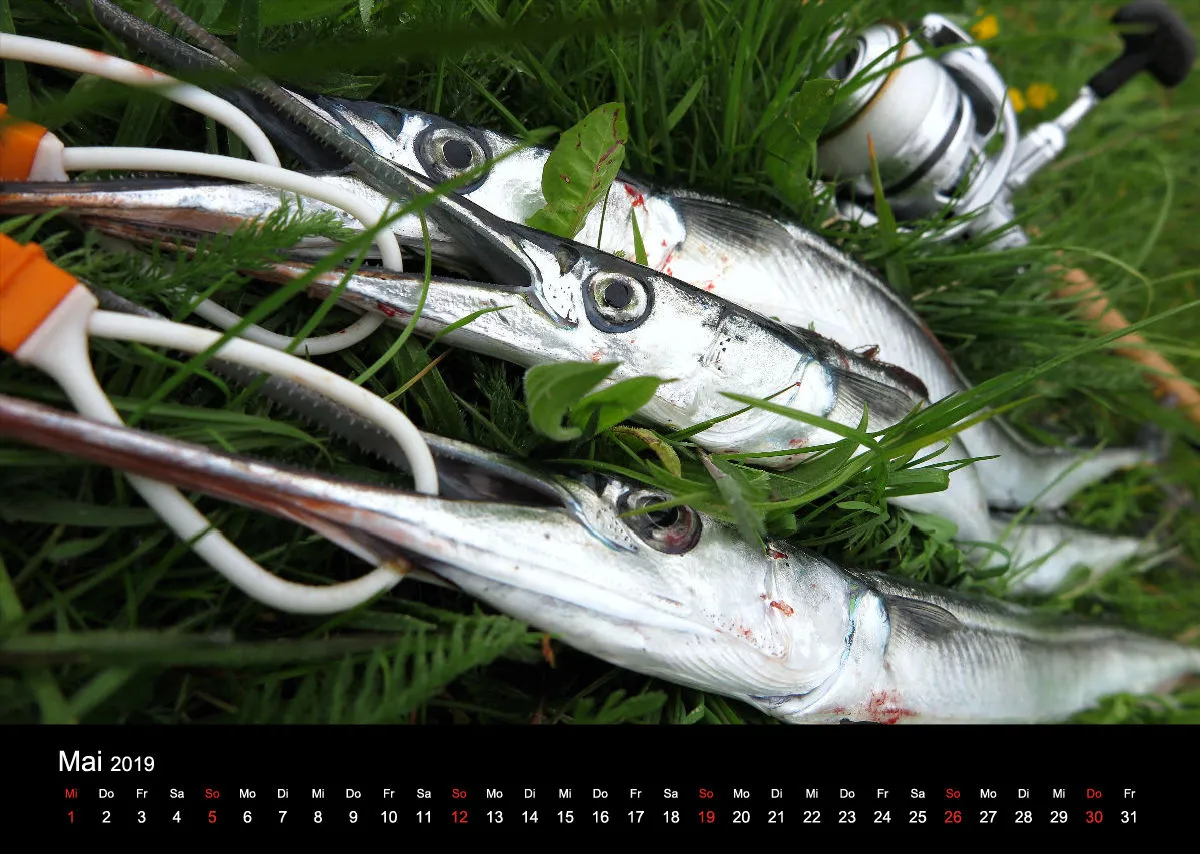 2019 (Design 17`) Wandkalender mit schwarzem Kalendarium