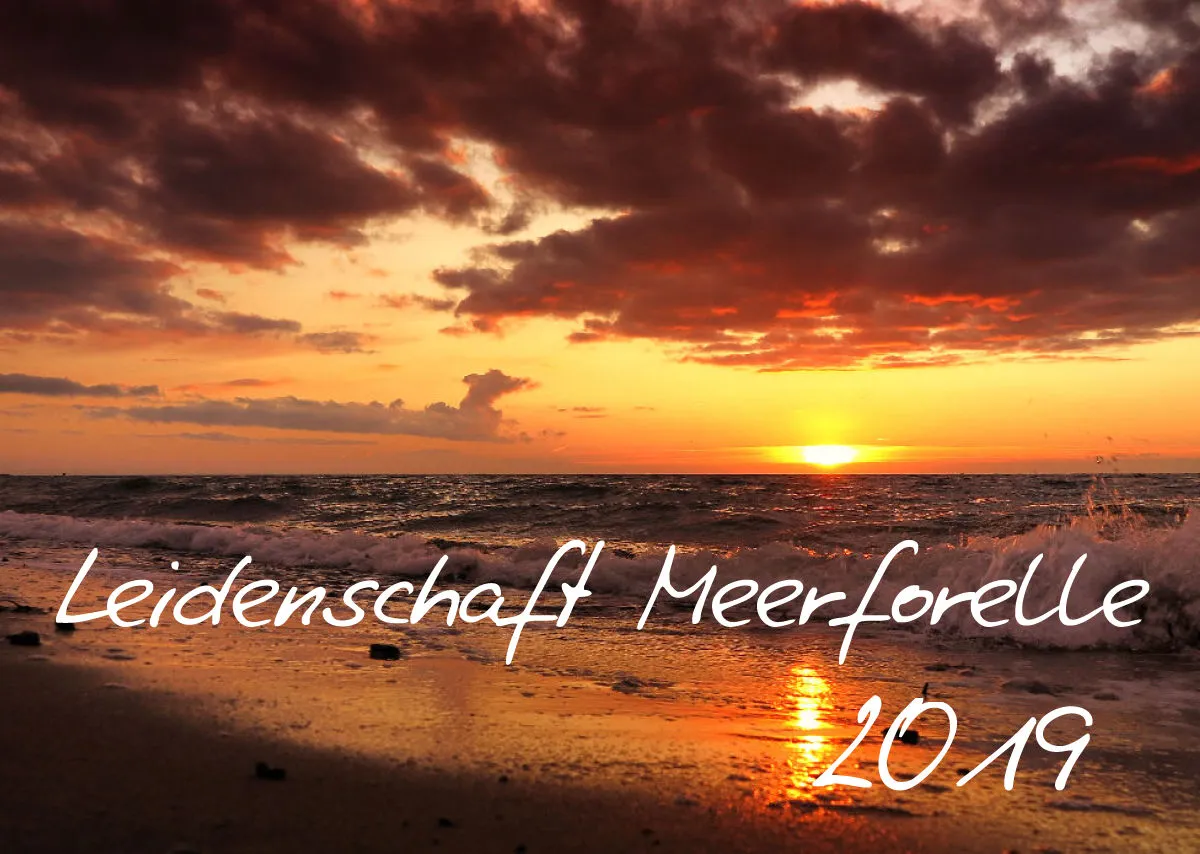 2019 (Design 17`) Wandkalender mit schwarzem Kalendarium