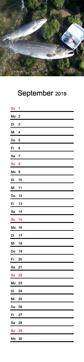 2019 (Design 15') Streifenkalender