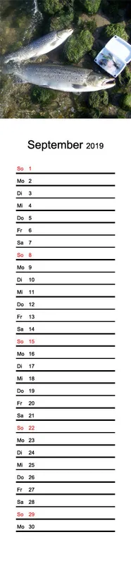 2019 (Design 15') Streifenkalender