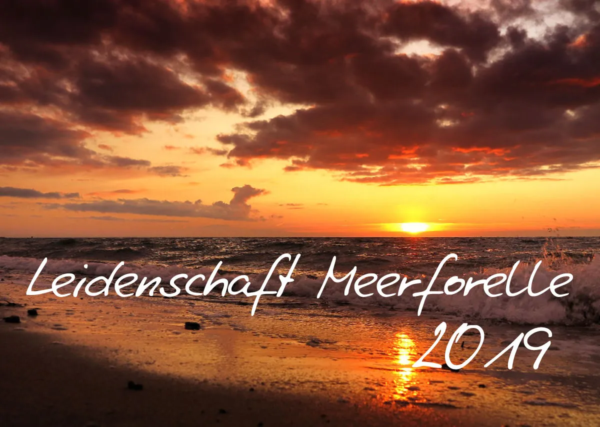 2019 (Design 17') Wandkalender mit weißem Kalendarium links