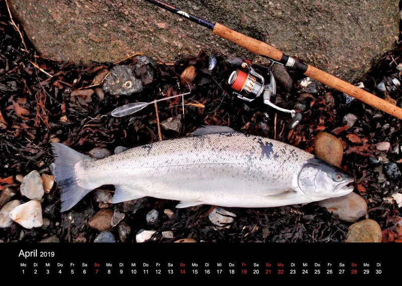 2019 (Design 15') Wandkalender mit schwarzem Kalendarium
