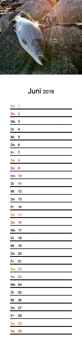 2019 (Design 18') Streifenkalender