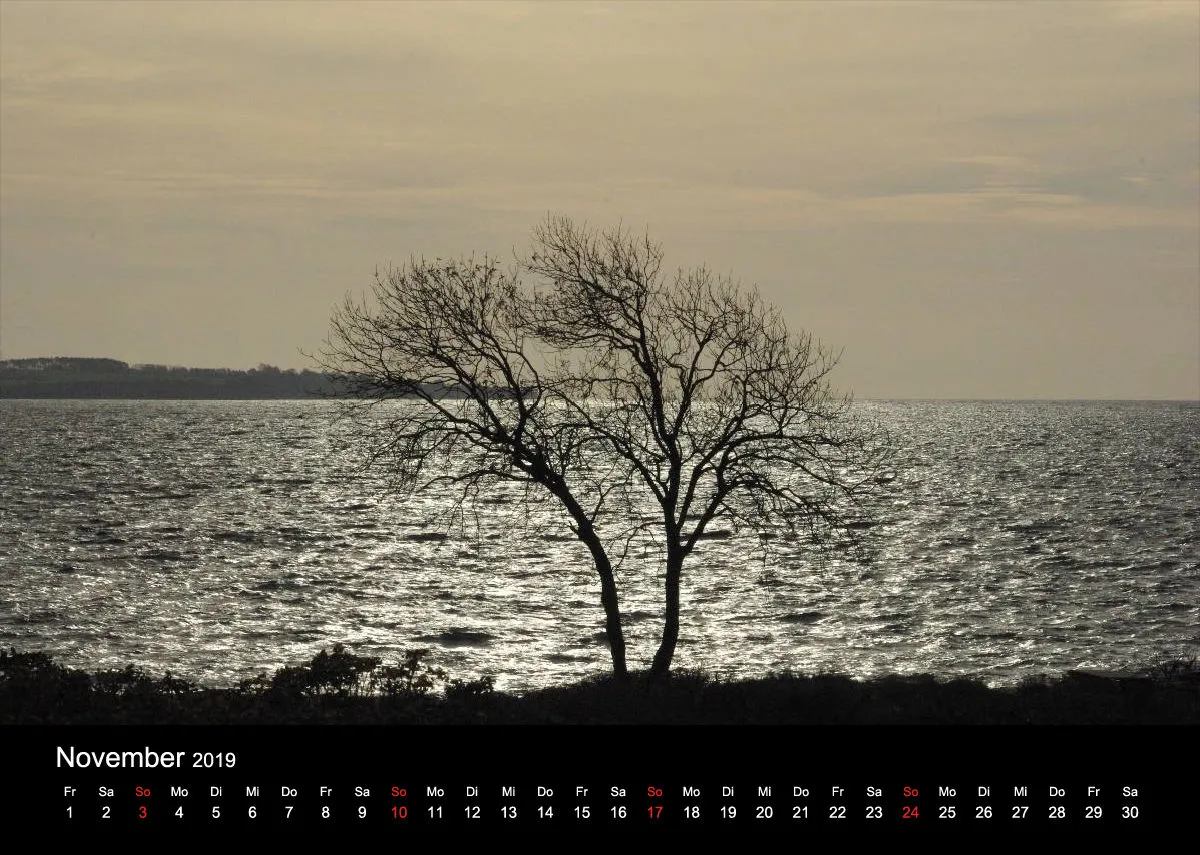 2019 (Design 15') Wandkalender mit schwarzem Kalendarium