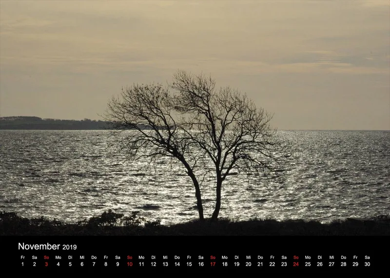 2019 (Design 15') Wandkalender mit schwarzem Kalendarium