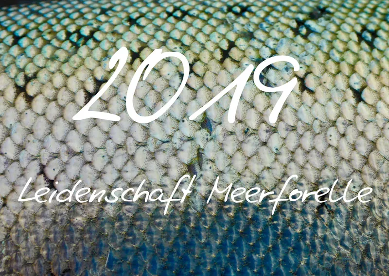 2019 (Design 18') Wandkalender mit schwarzem Kalendarium