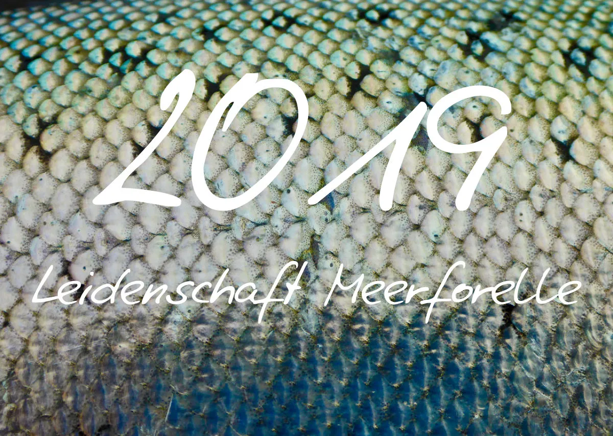 2019 (Design 18') Wandkalender mit schwarzem Kalendarium