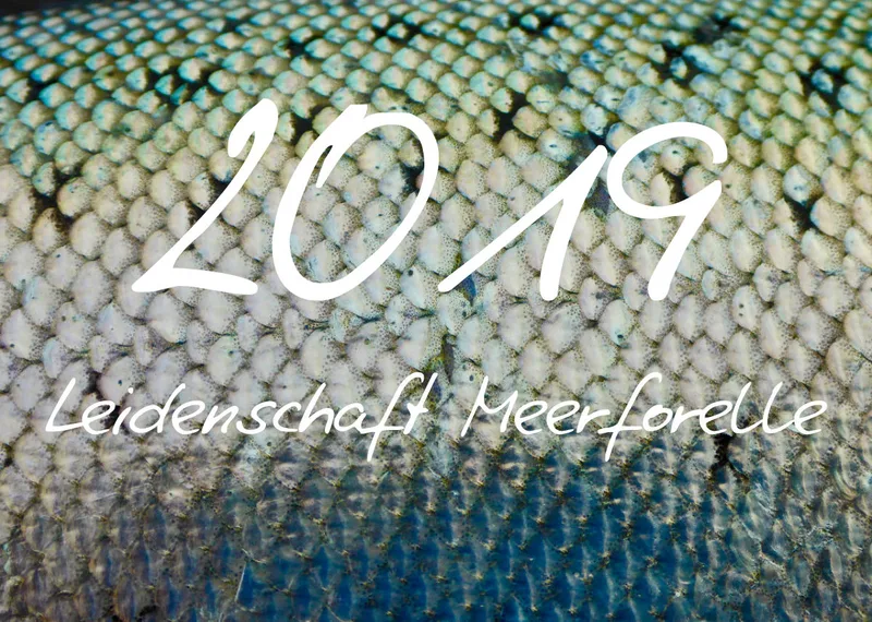 2019 (Design 18') Wandkalender mit schwarzem Kalendarium