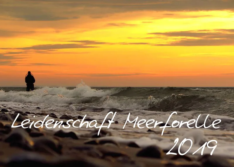 2019 (Design 16') Wandkalender mit weißem Kalendarium links