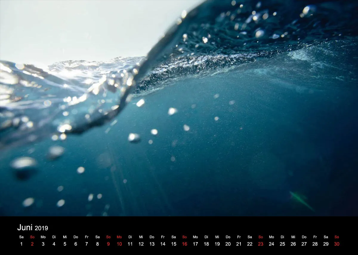 2019 (Design 16') Wandkalender mit schwarzem Kalendarium