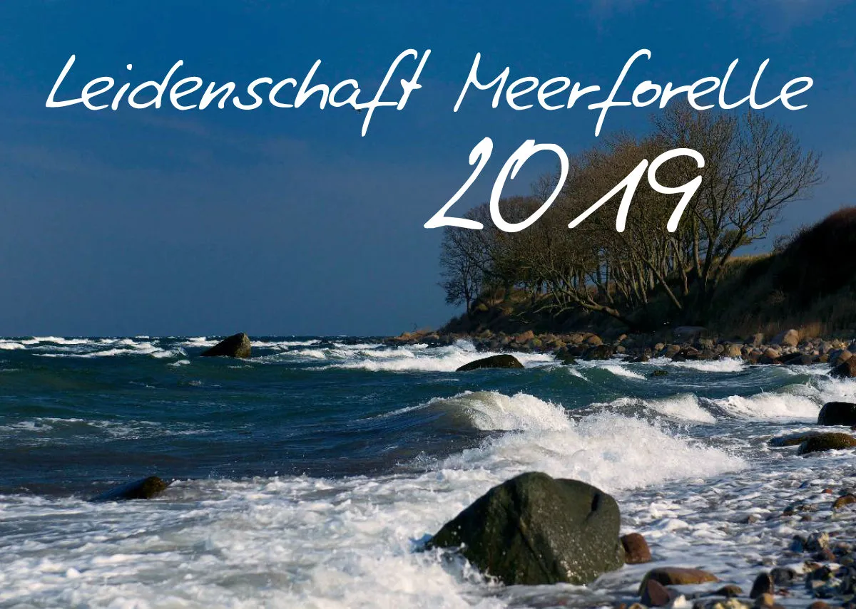2019 (Design 15') Wandkalender mit schwarzem Kalendarium