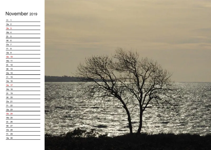 2019 (Design 15') Wandkalender mit weißem Kalendarium links