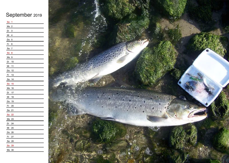 2019 (Design 15') Wandkalender mit weißem Kalendarium links