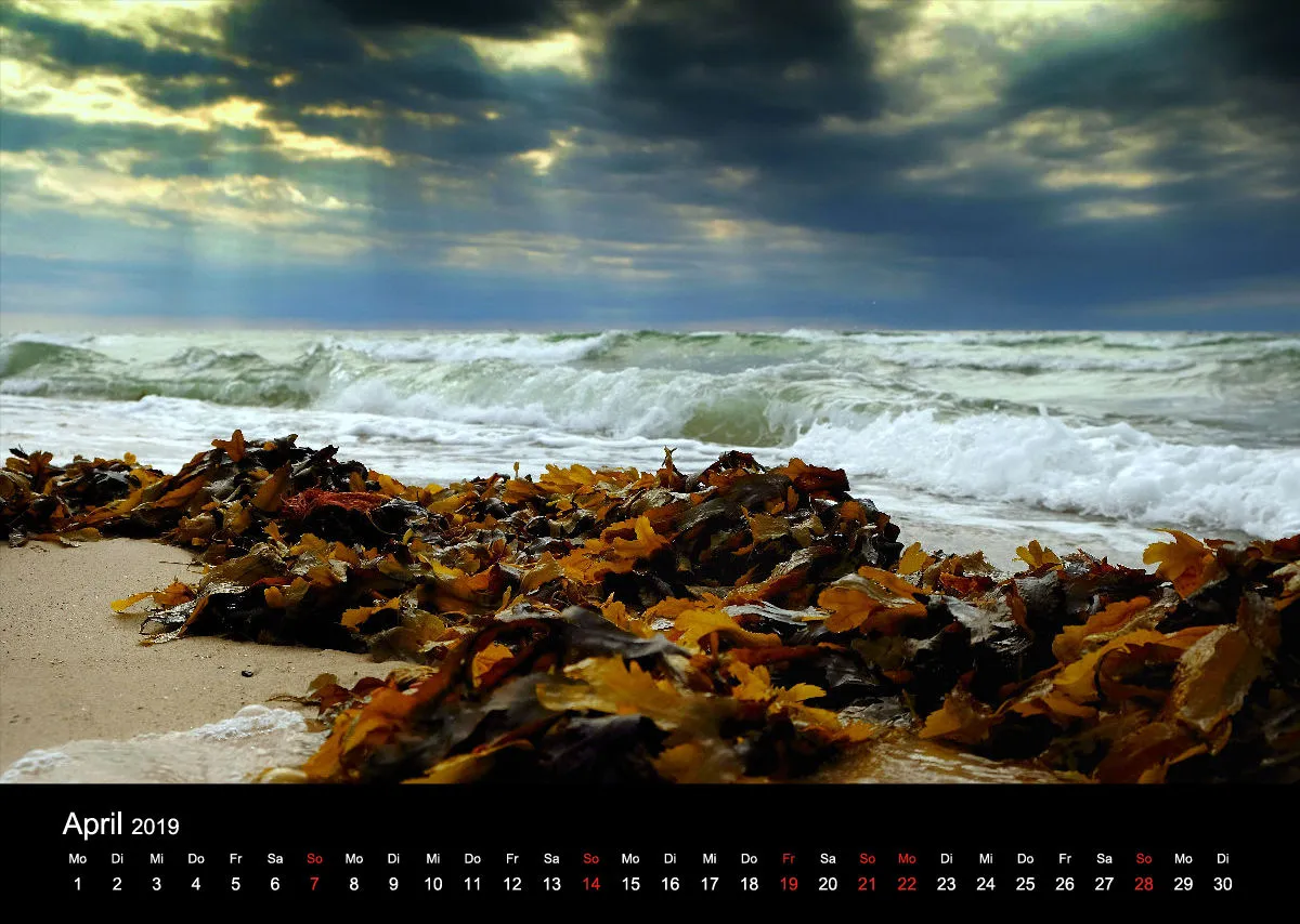 2019 (Design 17`) Wandkalender mit schwarzem Kalendarium
