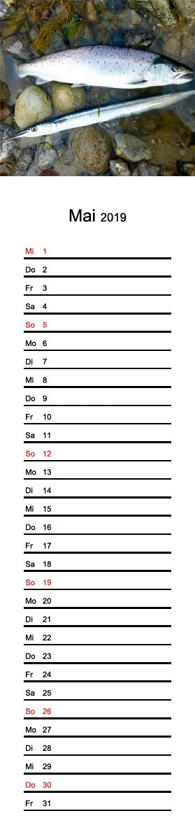 2019 (Design 16') Streifenkalender