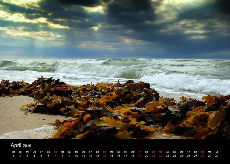 2019 (Design 17') Wandkalender mit schwarzem Kalendarium