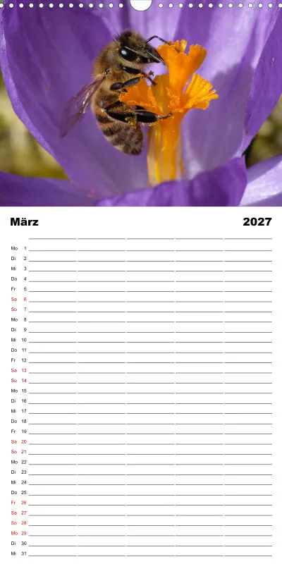 Die Natur im Blick - Familienplaner 2027