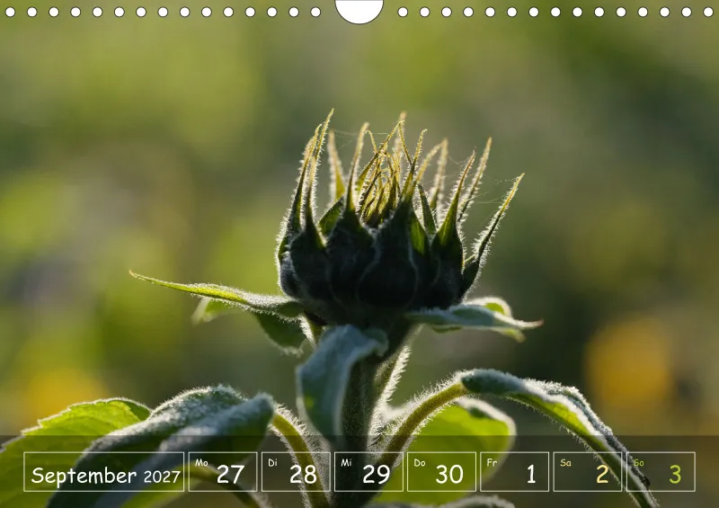 Die Natur im Blick