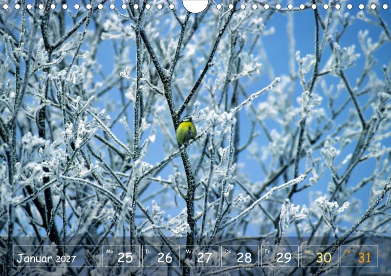 Die Natur im Blick