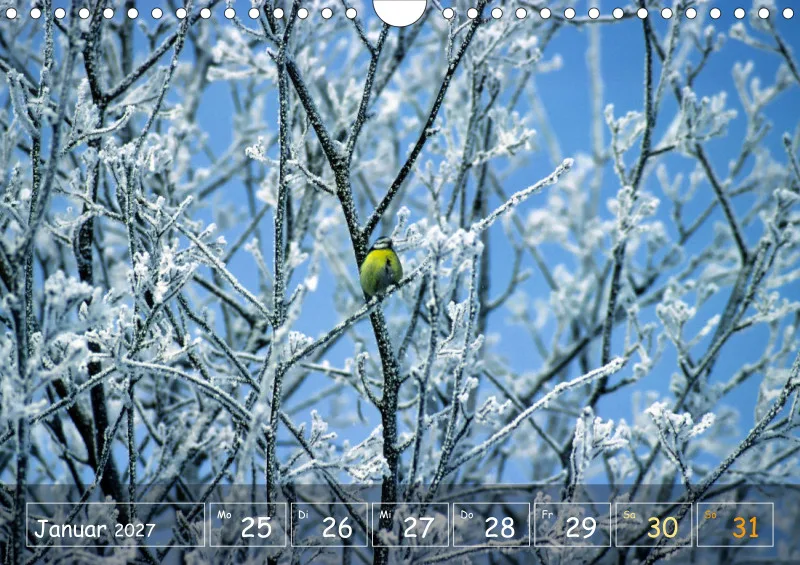 Die Natur im Blick