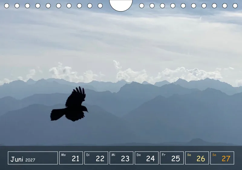 Die Natur im Blick