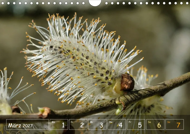 Die Natur im Blick