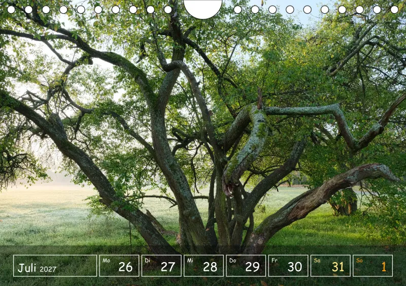 Die Natur im Blick